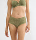 Olive Gold