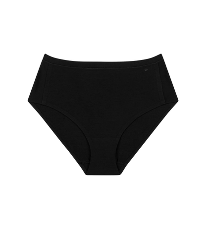 Triumph Smart Natural Maxi EX Briefs