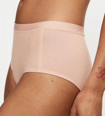Triumph Smart Natural Maxi EX Briefs