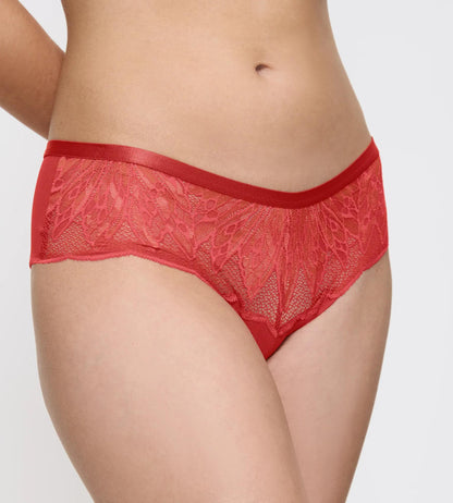 Triumph Crazy Stupid Love Hipster Briefs
