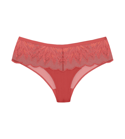 Triumph Crazy Stupid Love Hipster Briefs