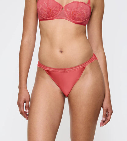 Triumph Crazy Stupid Love Highleg Tai Briefs