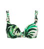 Summer Palm