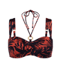 Summer Palm