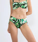 GREEN COMBINATION