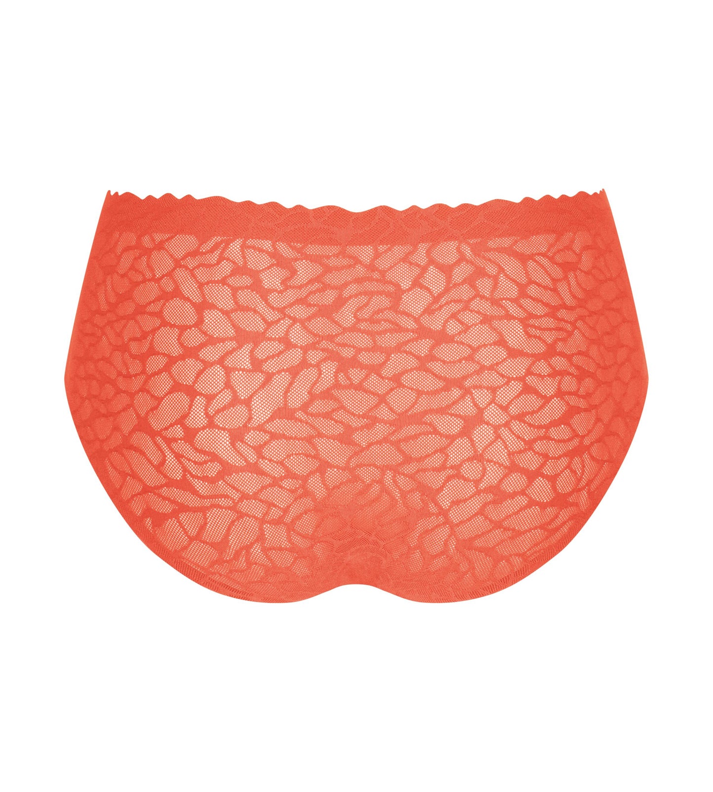 sloggi Zero Feel Lace 2.0 High Waist