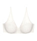 Triumph Signature Sheer